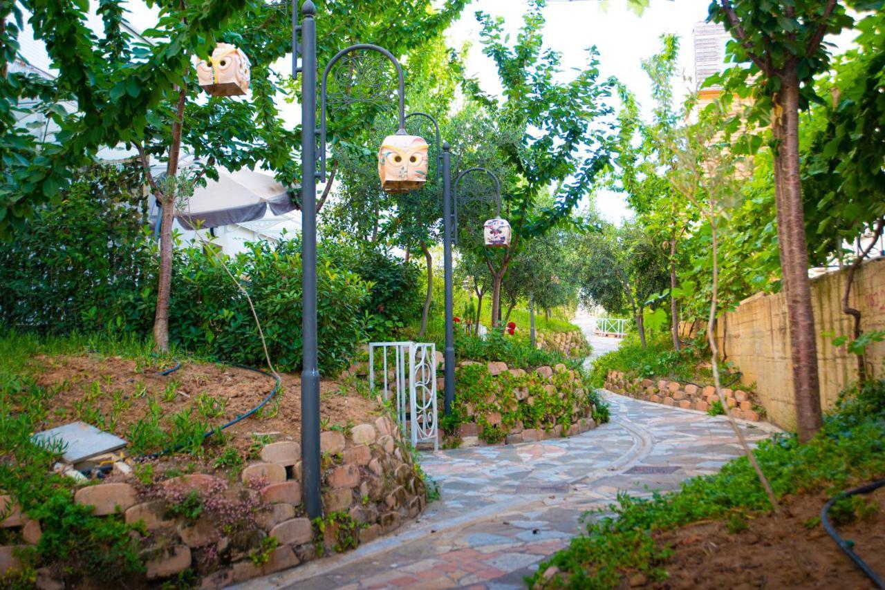 Arka Art Hotel Kashari 外观 照片 The path of the cable car